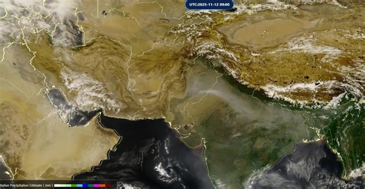 Weather Forecasting Services on Reels