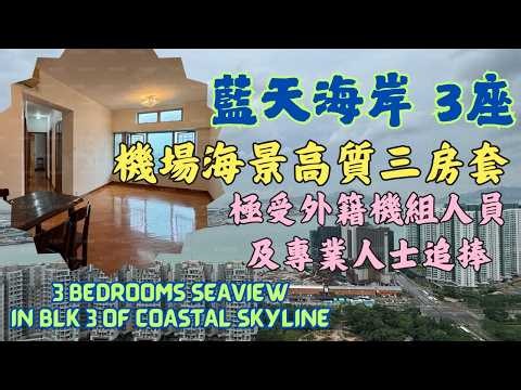 藍天海岸機場海景高質三房套！極受外籍機組人員及專業人士追捧 3座中層771呎 #東涌物業