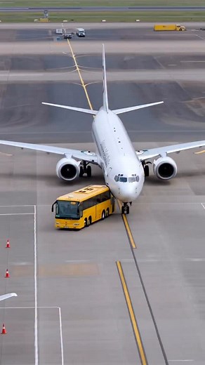 The plane’s pilot failed to notice a bus on the runway — and crushed it under the landing gear. A brutal impact, panic, and sparks flying. Onlookers are stunned. How could this happen? The bus is wrecked, and the airfield turns into a disaster zone. #crash #crashed #ai #news #wow #fail #air #airplane #airport #shit #oh #no #bus | The.worldai