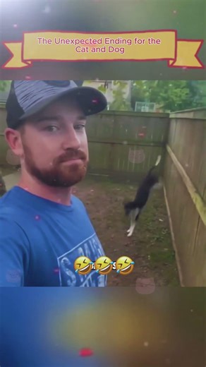 This is so funny, l couldn't stop laughing#fypシ゚ #funny #youtube #fypyoutube #viral #pov