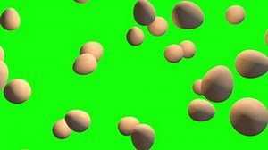 Egg Green Screen Loop Animation Stock Footage Video (100% Royalty-free) 1061171875 | Shutterstock