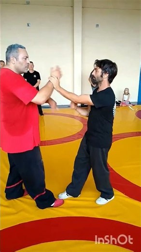 Lat Sao extrait de Wingchun application 4 👇 #wingtsun #sifucarl #wingchun #selfdefense #martialarts