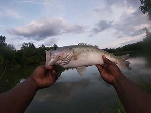 Chasing the big ones pt. 3