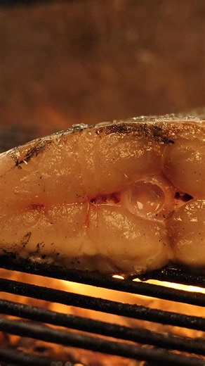 I cooked a beautiful Mulloway steak over open fire in Sydney using fresh local fish, clean seasoning, and natural flame. This is simple fire cooking done the SY way, letting great produce speak for itself. #mulloway #firecooking #seafood #sydney #cooking | Sean Young