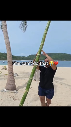 😂 | Bonnie Rabbit