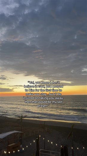 Wattpad Romance: Daisies and Bruises Story Summary