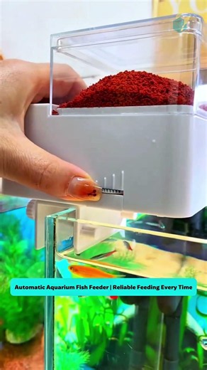 Automatic Aquarium Fish Feeder | Reliable Feeding Every Time #fishtank #aquarium
