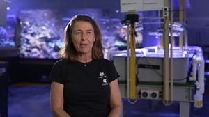 Museum of Underwater Art