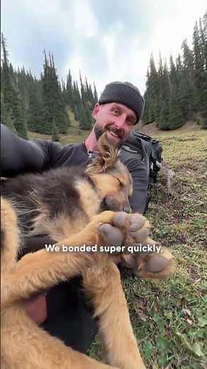 Guy Climbs A Mountain and Finds A Puppy On The Peak | The Dodo