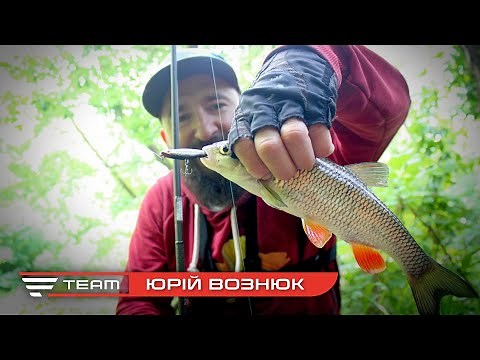 TEST OF THE NEW Favorite Impulse SPINNING. Fishing for perch, chub and pike on a forest river
