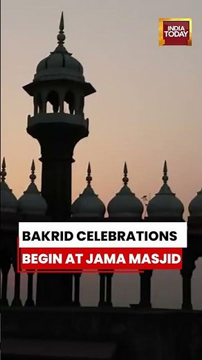 Eid al-Adha Celebrations Begin At Jama Masjid In Delhi #eiduladha #eid #jamamasjid #bakrid #festival