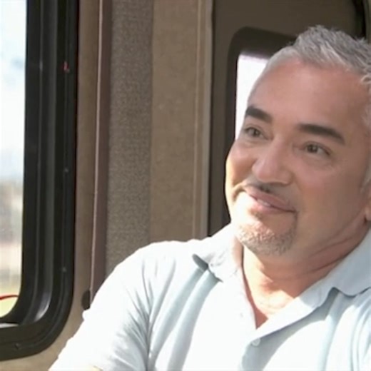 Andre and I visit the overpass where I lived when I was homeless! #throwbackthursday —— ¡Andre y yo visitamos el puente elevado donde vivía cuando no tenía hogar! #throwbackthursday | Cesar Millan