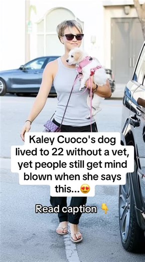 1. If your dog eats poop, vets will sell you sprays and chews, but a few chunks of pineapple in their bowl can fix it naturally. It changes the smell of their stool from the inside and breaks the habit fast 😍 2. Scratching at their ears constantly? It's often yeast, not dirt. Wipe the outer ear gently with cooled chamomile tea. It calms the skin and clears up buildup without harsh chemicals ❤️ 3. Dragging their butt on the carpet? Forget medication. Most of the time, it's mild gland pressure ca