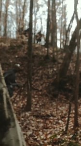 461K views · 3.1K reactions | “The scouts of the Orcs were hunted,...