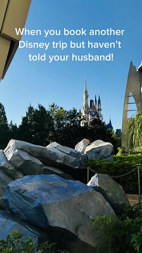 Solo Travel Planning Tips for Disney Adults