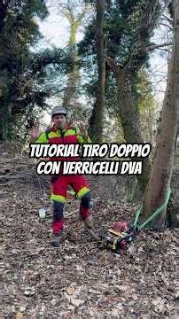 Tutorial tiro doppio con verricelli DVA #dva #dva #timber #winch #forestry #undercut #verricello