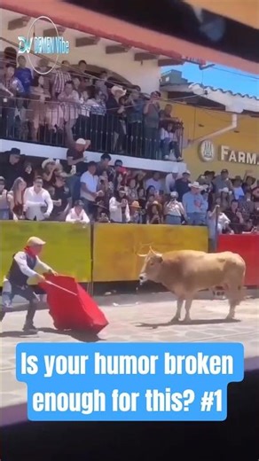 Peak Low Quality Humor Part 1 #funny #respect #memes #fails #comedy