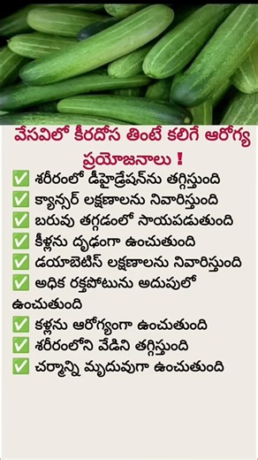 Eat Cucumber Daily & See These Amazing Health Benefits | Natural Detox, Weight Loss & Glowing Skin!