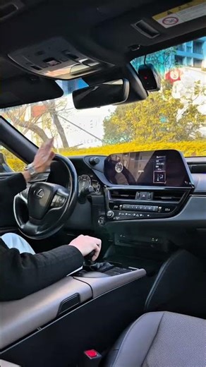 Lexus siêu mê với dòng es200 #lexus #sieuxe #penguin