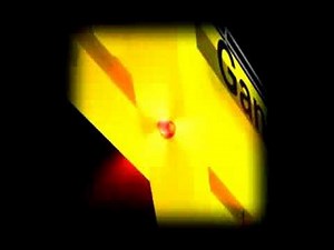 Case 2 of 6: Crushed by Gantry Crane