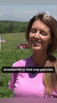 Strawberry Hill USA: Farming as a family for 80 years