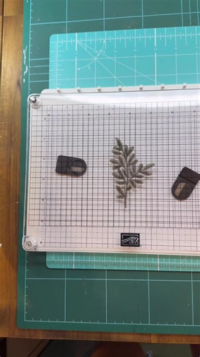 Let’s see how the new Stamp Positioner works, available for FREE for new demonstrators who join next month! EDIT I was so excited I didn't notice that the individual sheets of paper fit onto the base by hooking onto the little notches, so it doesn't move! *doh* | Lets create by stamping