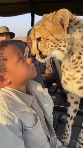 "Laugh in the face of danger" –Simba from Lion King 🦁