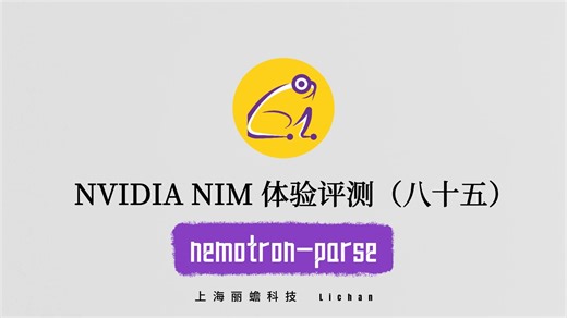 【NVIDIA NIM】体验评测系列（八十五）：nemotron-parse