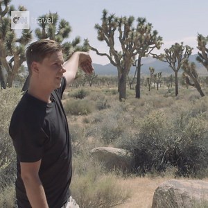 Whether you're here for an afternoon, a weekend or an entire week, here's our guide to how to explore this captivating desertscape known as Joshua Tree | CNN