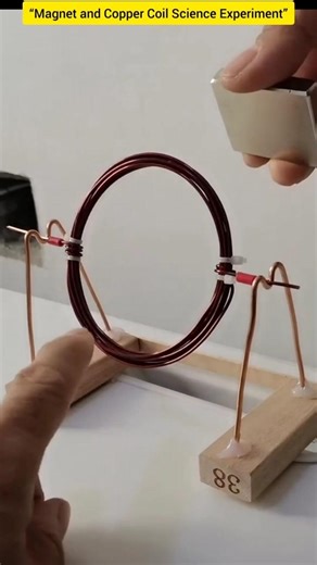 “Magnet and Copper Coil Science Experiment”