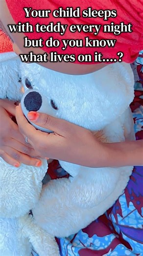 The Hidden Life of Teddy Bears Under a Microscope