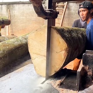 222K views · 1.3K reactions | The best skill cutting wood with team work | Making Video | Facebook