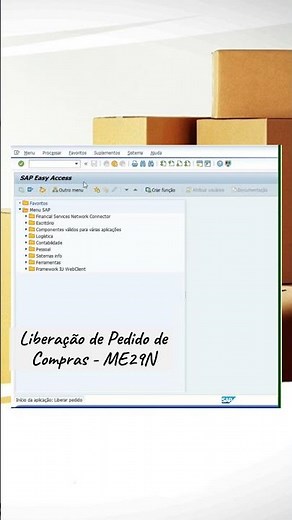 Como Liberar o Pedido de Compras no SAP MM