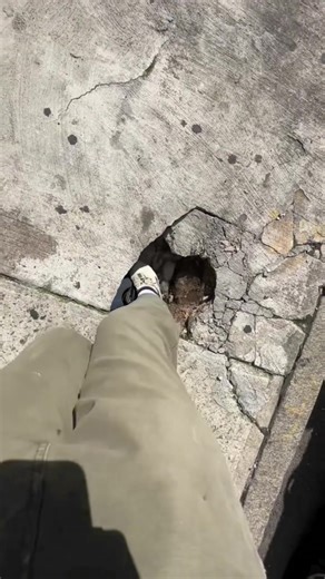 Let's Find Treasures in the crack 😱😱 Brightest Led lights 🦁 #asiacarled #foryou #viral #meme #capcut