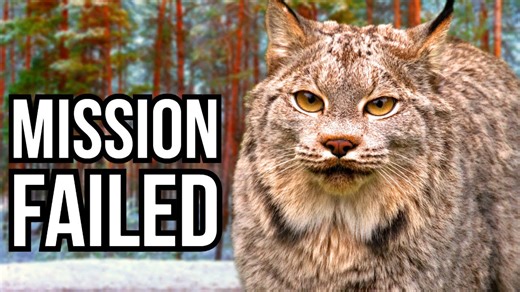 When Nature Says No: 3 Animal Comebacks That Didn’t Work