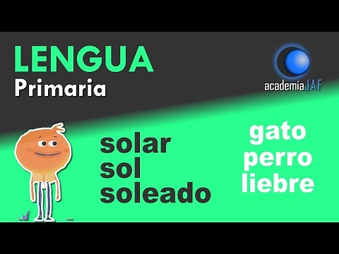 Lexical field, semantic field and lexical family. What is the difference?