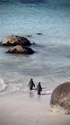 Jess Henwick on Instagram