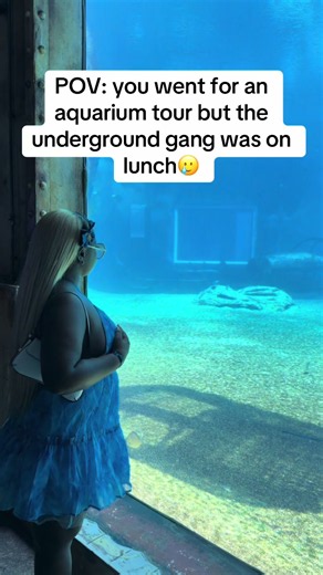 POV: Ushaka Marine World Aquarium Tour in Durban 🤧😭