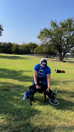 TIES 198-219 with my FP 2-ply MS goat string! ⚡️ How much longer will this string last?! | Full Potential Goat Tying