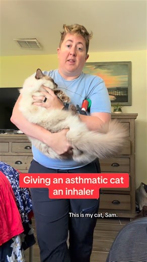 Dr.Beachgem10 | My cat Sam has asthma and needs a daily inhaler to help her have fewer asthma attacks. She doesn’t love her inhaler, but she’s learned to... | Instagram