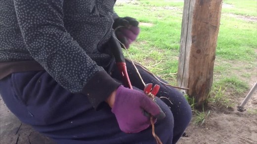 The Dena'ina Way of Making a Birch Bark Basket - Lake Clark National Park & Preserve (U.S. National Park Service)