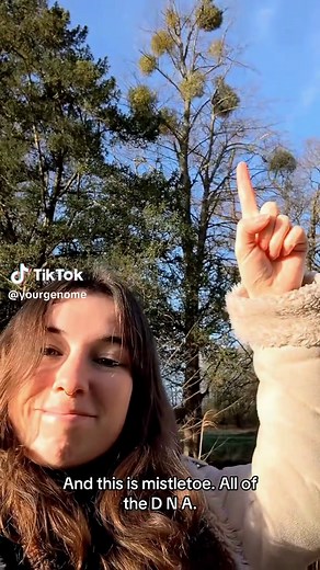 Comparing Human Genome Size to Mistletoe