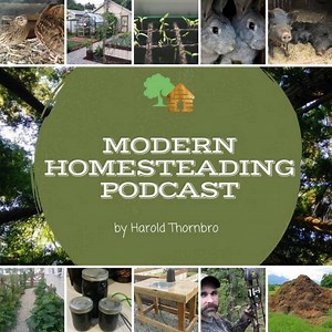 27 Movies For Homesteading Inspiration (And Why You Should Watch Them!) - The Small Town Homestead