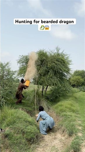 Hunting for bearded dragon 🐉😱#beardeddragon #hunting #farming #farmer #hunter