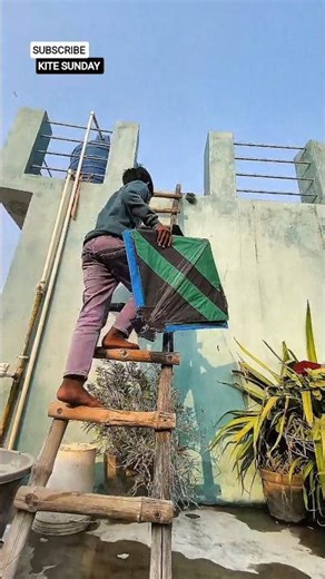 Flying Kites 😲#kiteflying #viralvideo #kitelover #shortsfeeds