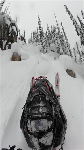 Caleb Kesterke on Instagram: "Tech climbs are currently my favorite style of riding @polarissnow @509inc @arcticfxgraphics"