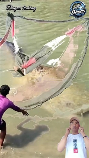 Sendirian Tak Gentar! Angler Ini Berhasil Taklukkan Lele Besar!#animals#fishing#shorts