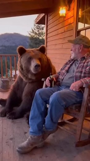 2.4K reactions · 137 shares | Grandpa vs Bear The Porch Roast Night, That Near can Talk . . . . . . . . . #grandpa #grandma #bear #mommabear | Buddy Sparkle | Facebook