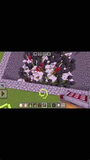 Minecraft Dog vs whidar