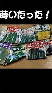 夏野菜7種類を1分で種まき！ズッキーニ・オクラ・しそ…一気にスタート！